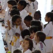 poussines 2015