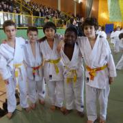 poussins 1  2015